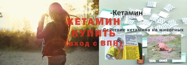 молекула духа Касимов