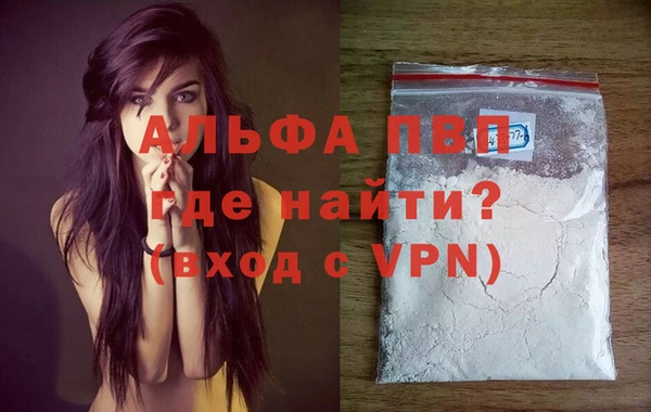 индика Киреевск