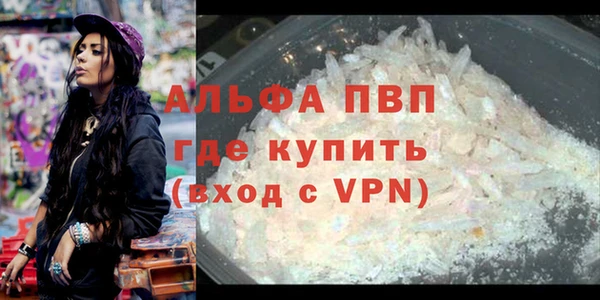 ECSTASY Карталы