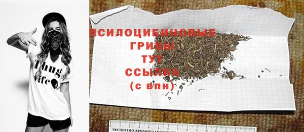 молекула духа Касимов