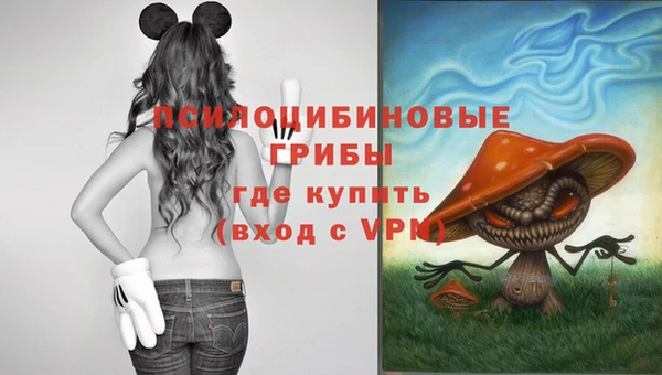 ECSTASY Карталы