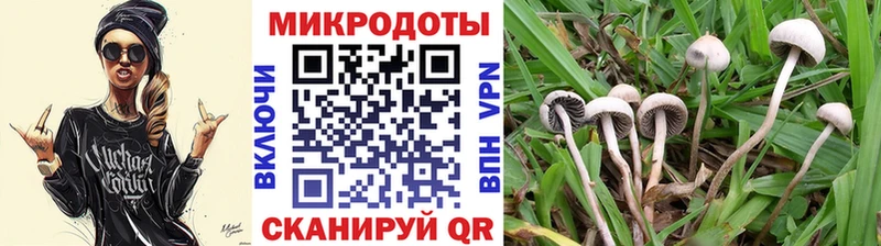 Галлюциногенные грибы Psilocybine cubensis  Купить закладки  Западная Двина 
